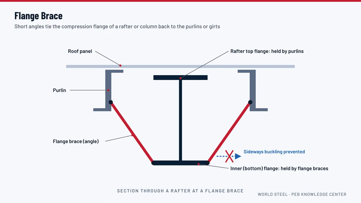 Pre-engineered building model with small diagonal flange braces highlighted between rafters and purlins