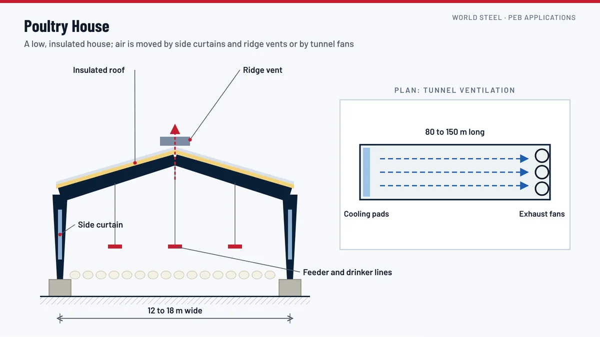 Section through a pre-engineered poultry house with a low insulated roof, side curtains, exhaust fans at one end and cooling pads at the other